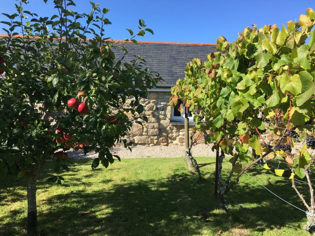 Cobblestone Cottage Penzance Buitenkant foto